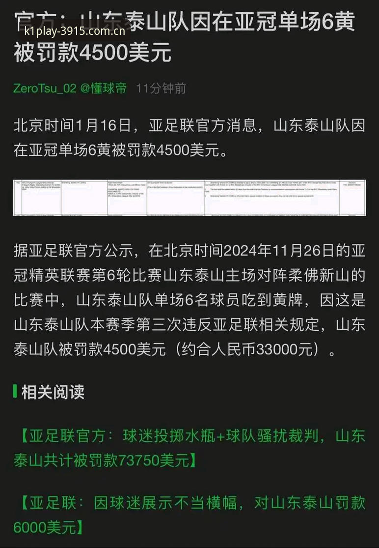 k1体育专业体育 足协禁足名单与体育公平:k1体育见证下的足球行业整顿与警示
